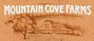 Mountain Cove